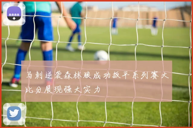 马刺逆袭森林狼成功扳平系列赛大比分展现强大实力