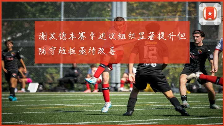谢泼德本赛季进攻组织显著提升但防守短板亟待改善